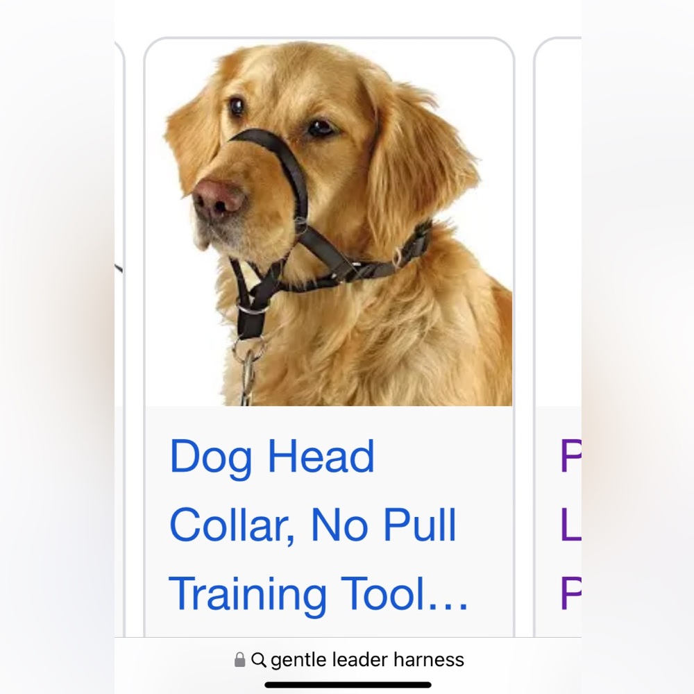 EUC Gentle leader head collar